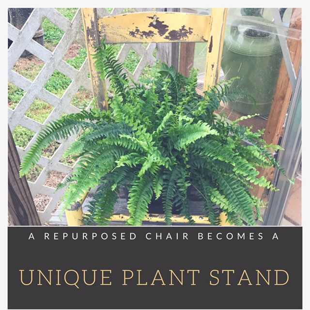 A repurposed chair becomes a unique plant&nbsp;stand