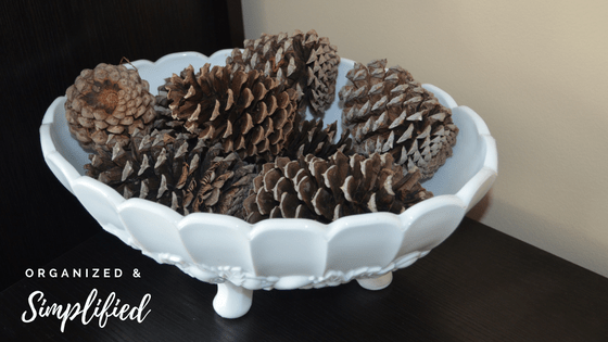 winter ht- pinecones