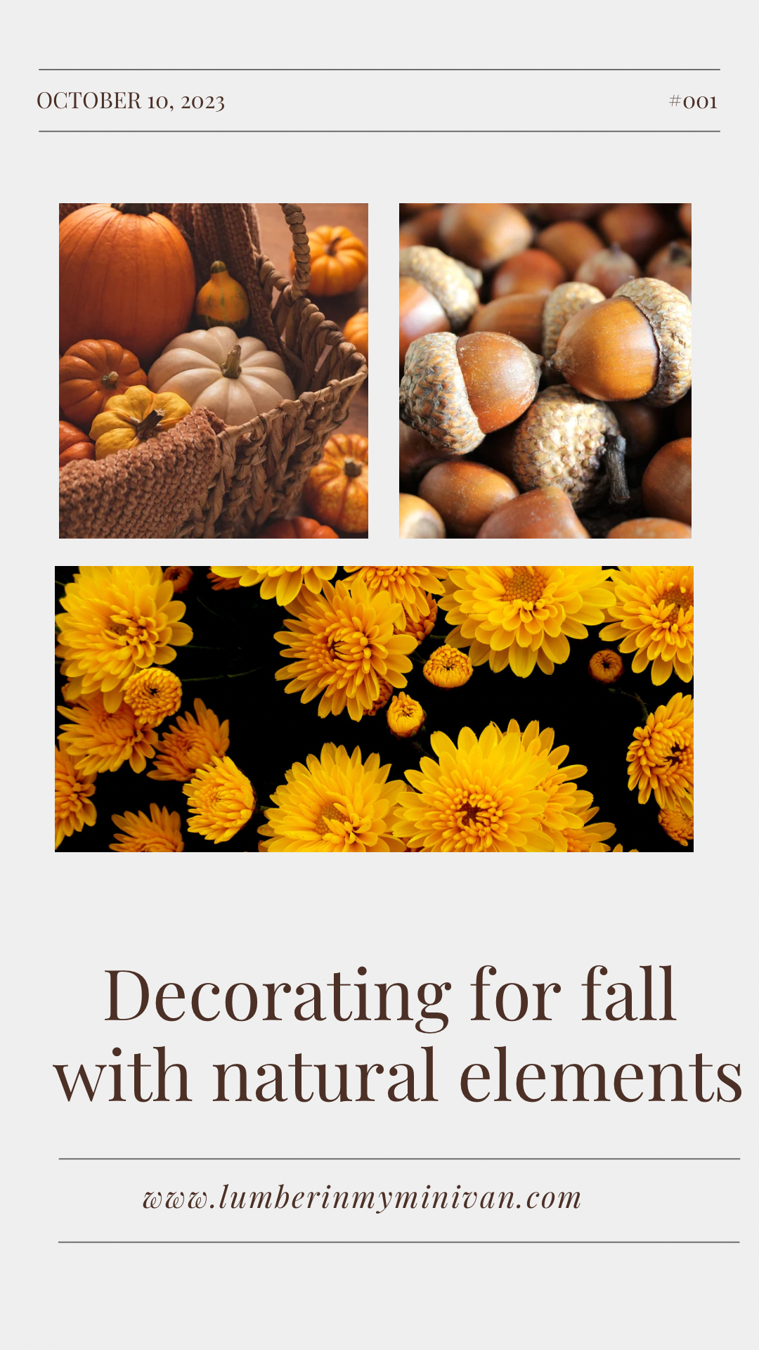 Using natural elements for fall decor