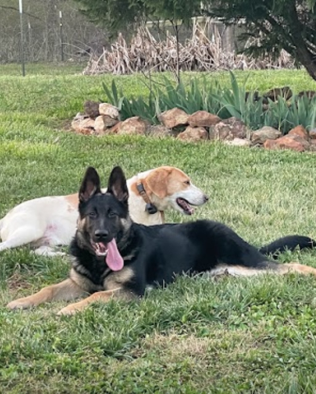 2023: a year in&nbsp;review