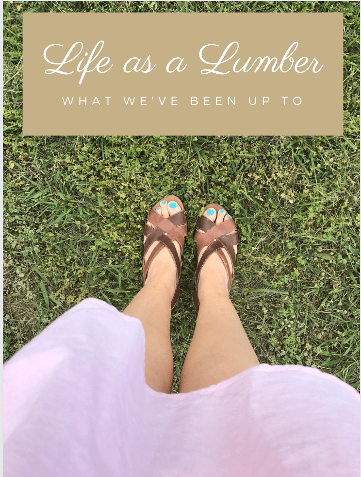 Life as a Lumber: What We’ve Been Up&nbsp;To