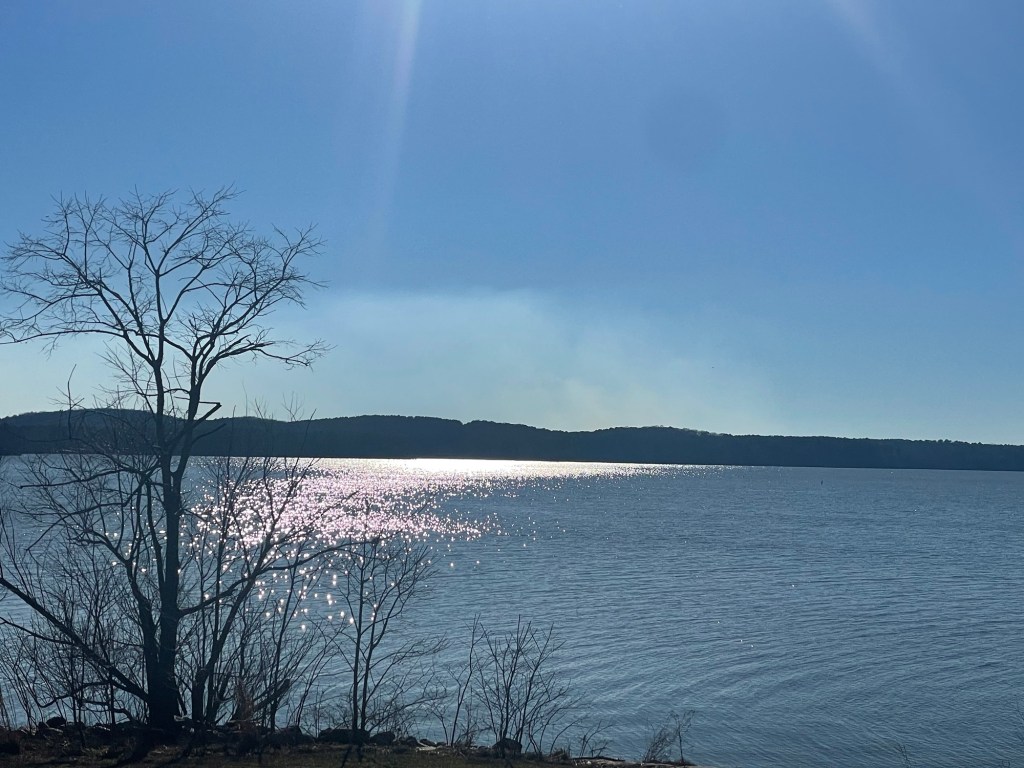 NC Piedmont Short Hikes: Ebenezer Recreation Area at B. Everett Jordan&nbsp;Lake