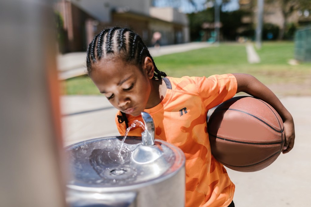 Bento Box Lunch&nbsp;Ideas
