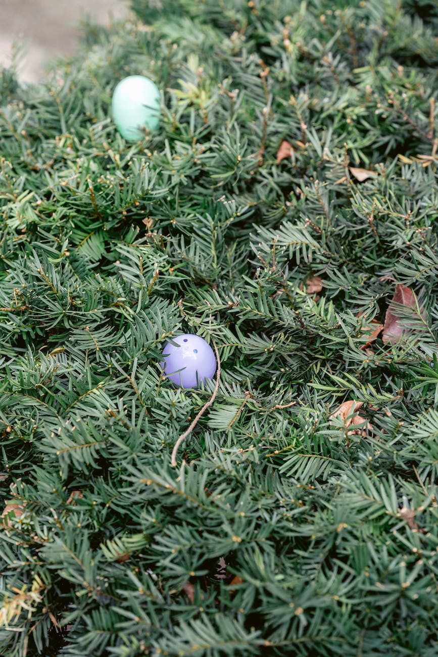 colorful eggs on green branches