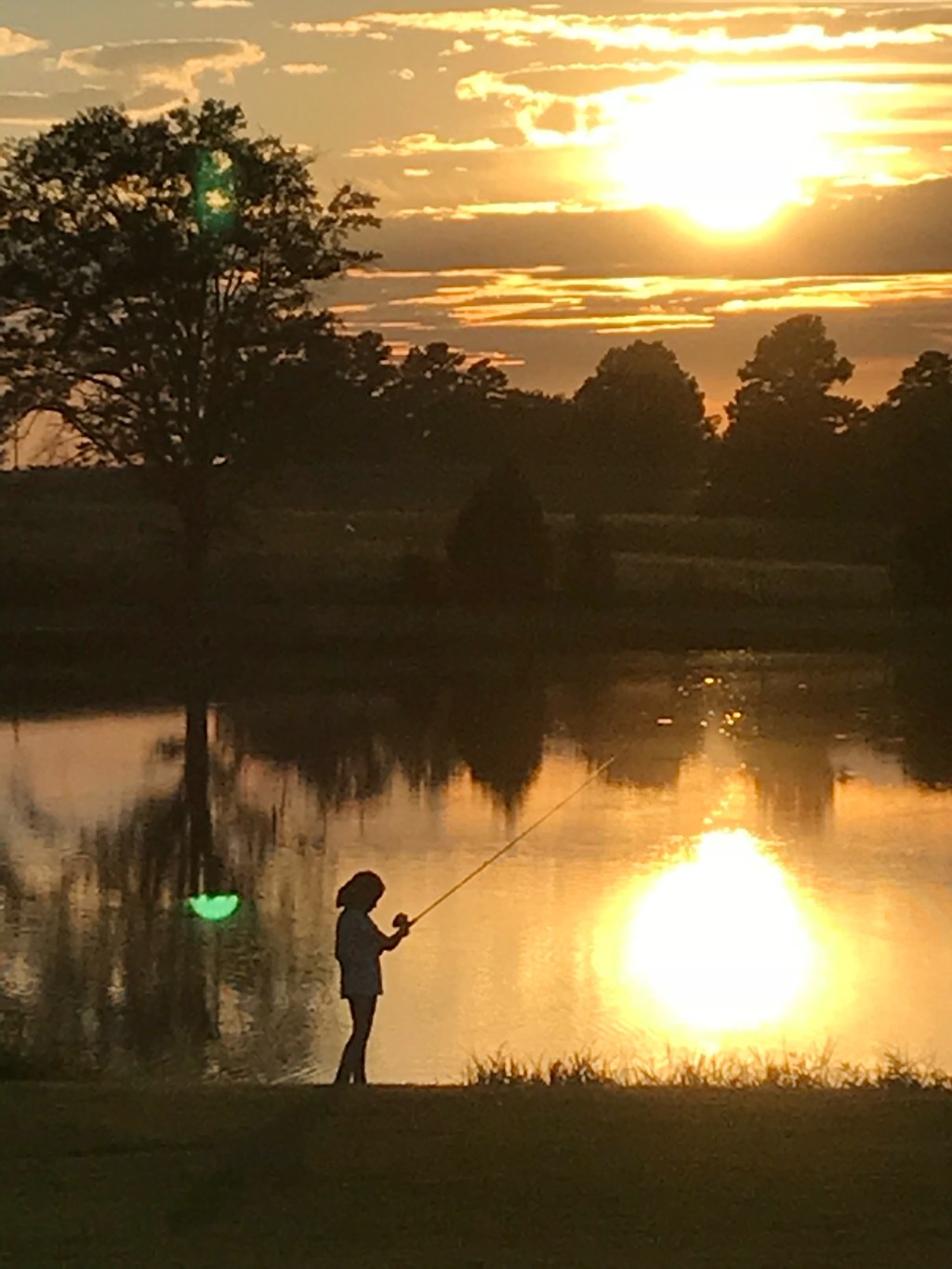 World Photo Day: Tips for Taking Better&nbsp;Pictures