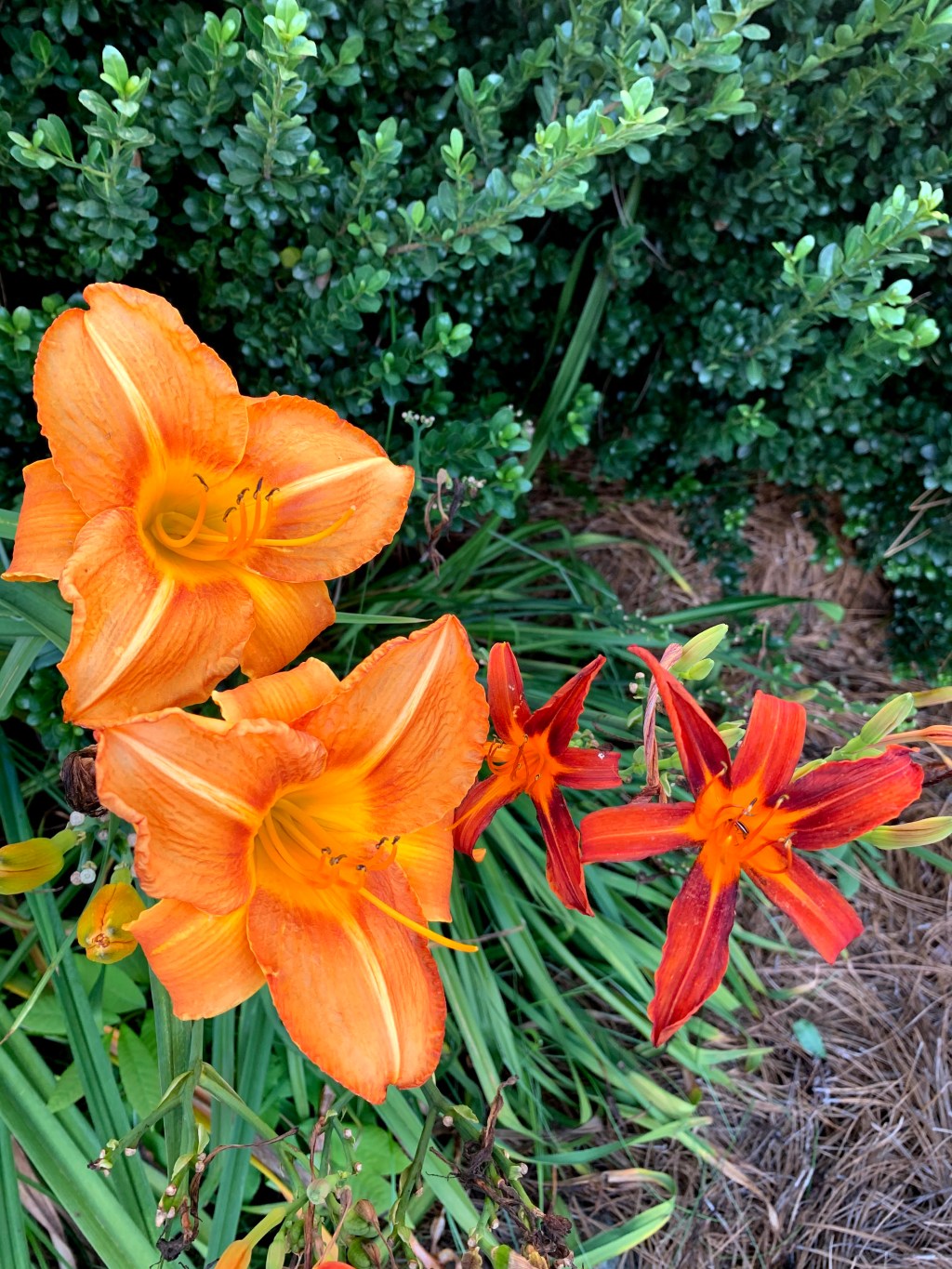 What I’m most excited about this&nbsp;month