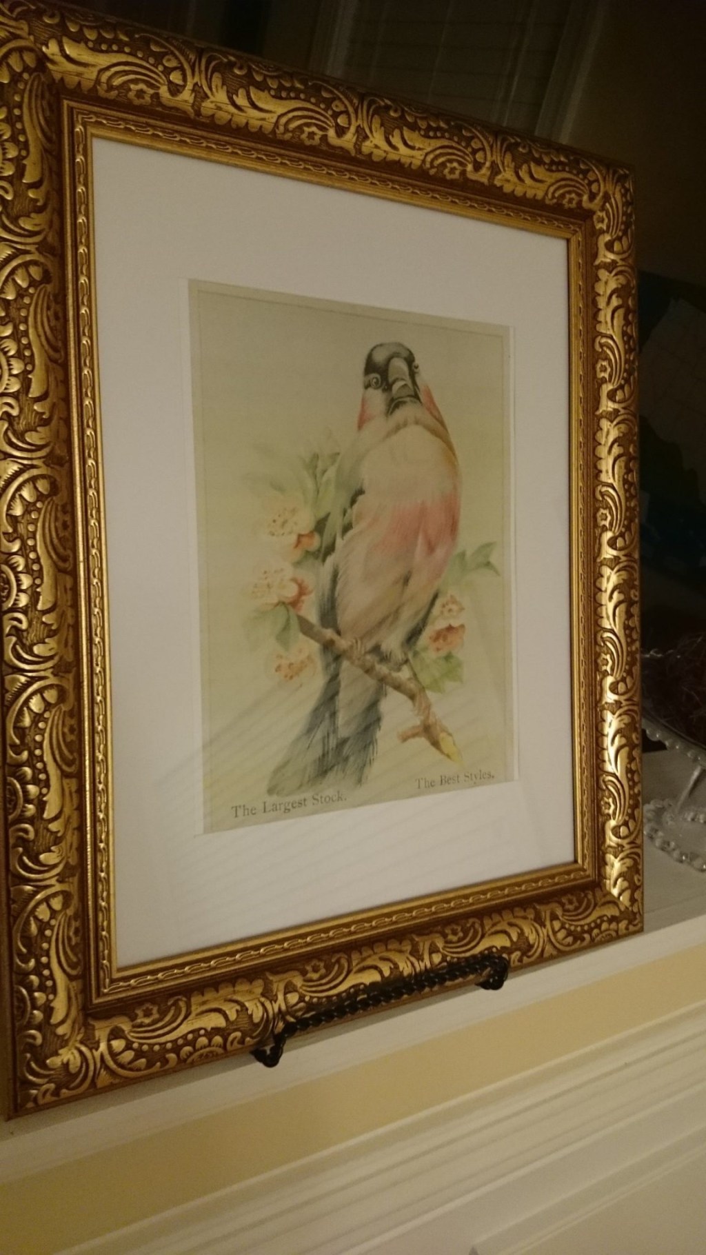 Make it Monday: a cheap “bird gallery wall” that looks&nbsp;expensive