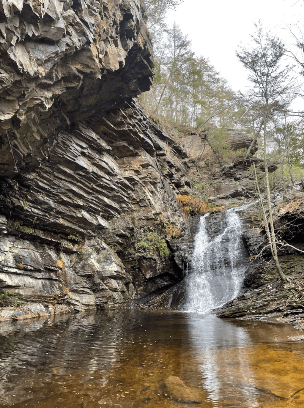 Five Friday Favorites: 5 Things I’m Loving Right&nbsp;Now