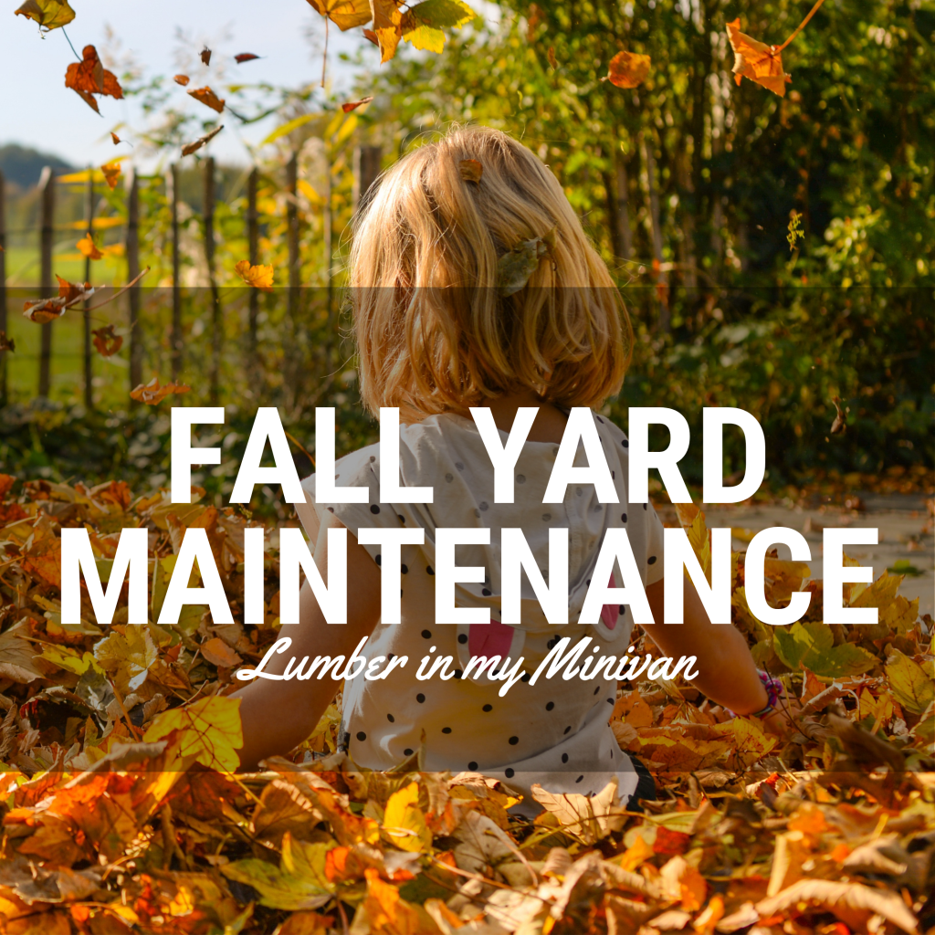 Fall Yard Maintenance with Lumber in My&nbsp;Minivan