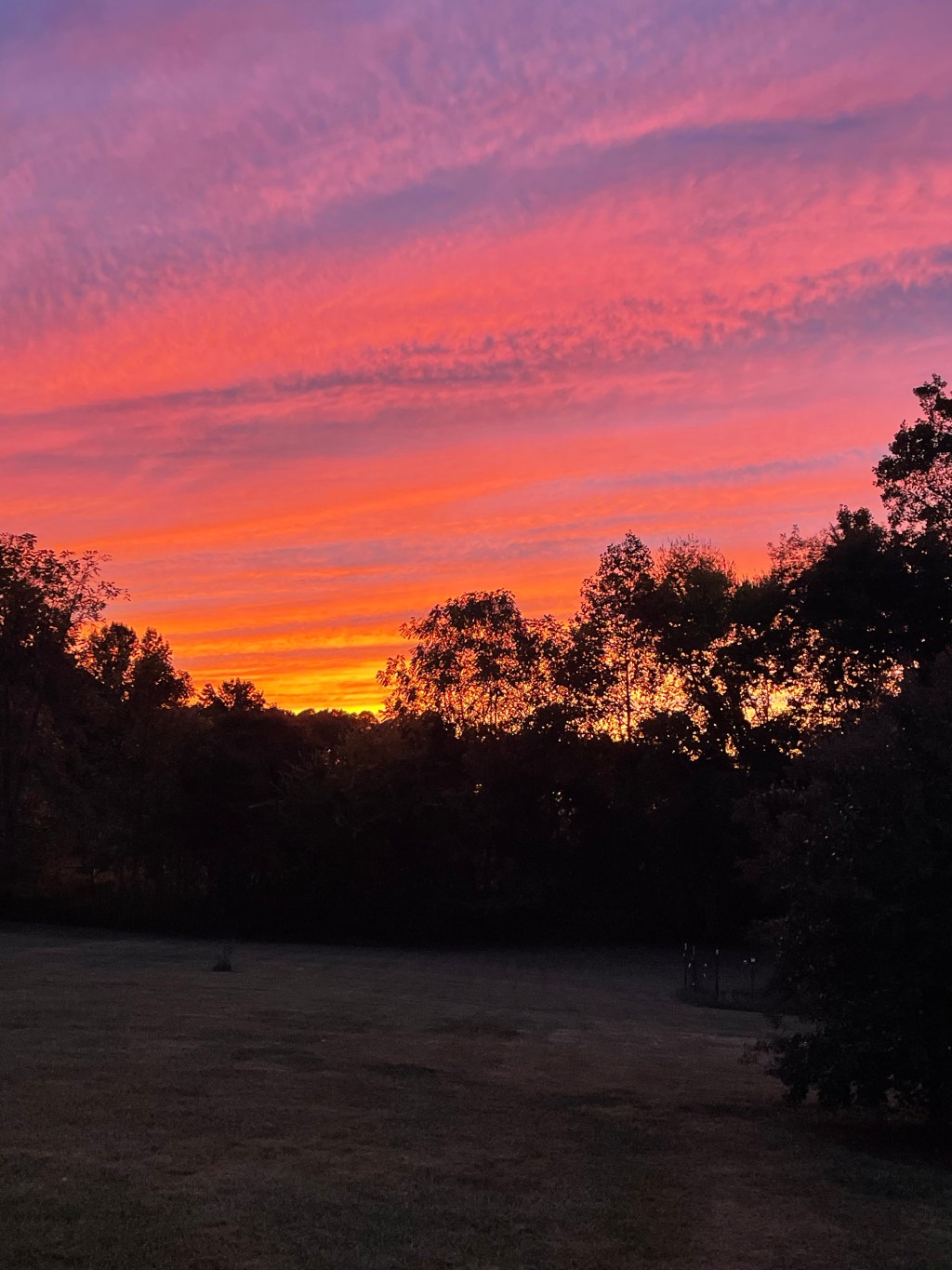 2022: a year in&nbsp;review