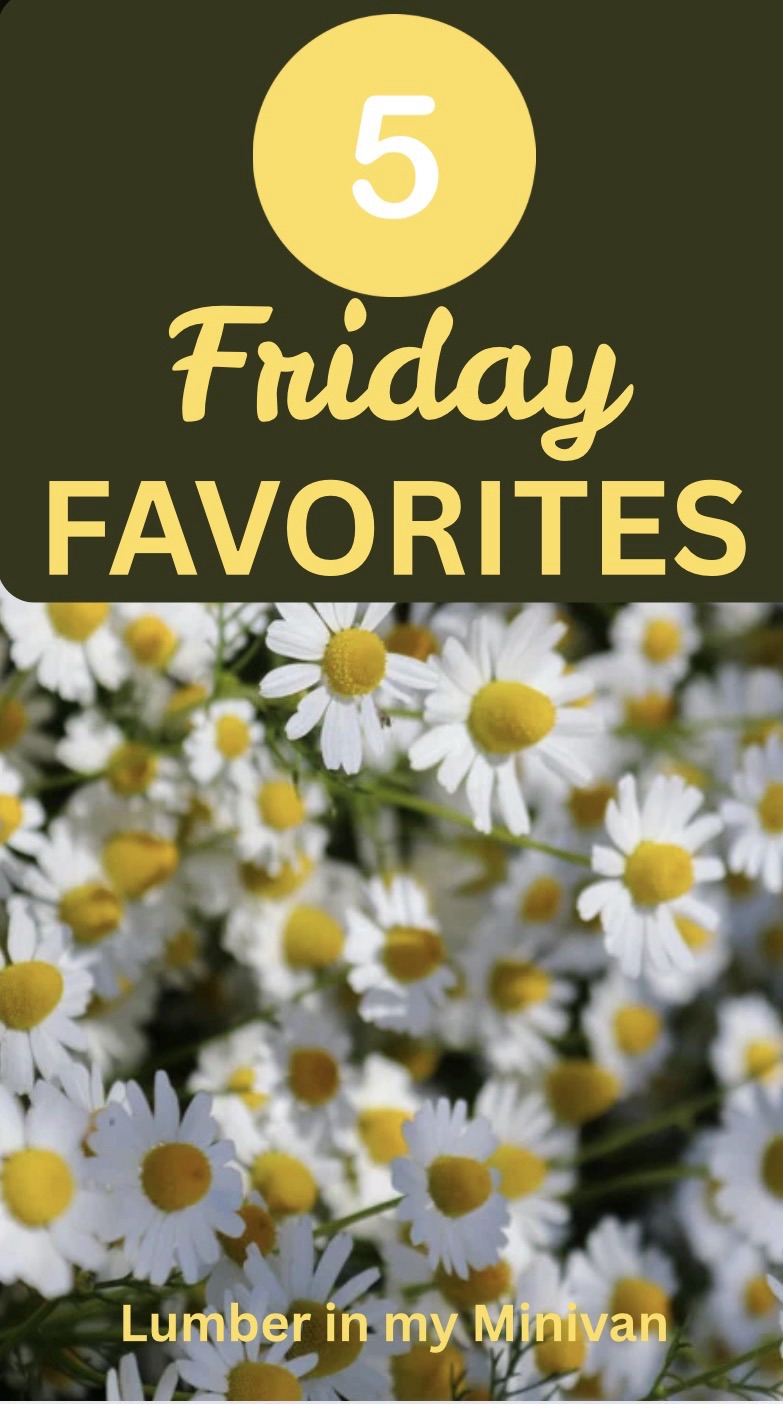 Five Friday Favorites: Cute and cheap at Dollar General